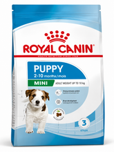 Alimento para perro Royal Canin Mini Puppy 2kg