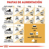 Alimento para gatos Royal canin persian adulto 2kg