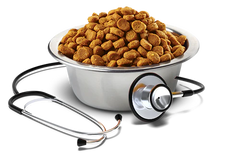 Alimento para perro Vet Life Urinary Ossalati 2 kg