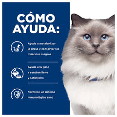 Alimento para gato Hill's Prescription Diet r/d Weight Loss 1.8kg