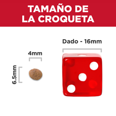Alimento para perro Hill's Science Diet Small & Mini Puppy 2kg