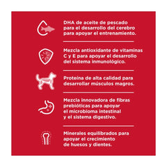 Alimento para perro Hill's Science Diet Puppy Small Bites 2kg