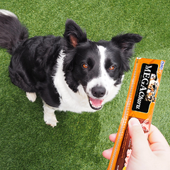 Snack para perro Inaba Mega Churu 3 piezas - pollo con calabaza 144 g