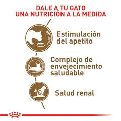 Alimento para gato Royal Canin Ageing 12+ 2kg