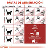 Alimento para gato adulto Royal Canin Fit 32