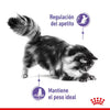 Alimento para gato Royal Canin Appetite Control 2 kg