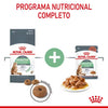 Alimento para gato Royal Canin Digestive Care 1.38 kg