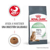 Alimento para gato Royal Canin Digestive Care 1.38 kg