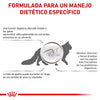 Alimento para gato Royal Canin Veterinary Gastrointestinal 2kg