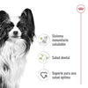 Alimento para perro Royal Canin XSmall Adult 1.5kg