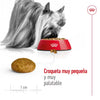 Alimento para perro Royal Canin XSmall Adult 1.5kg