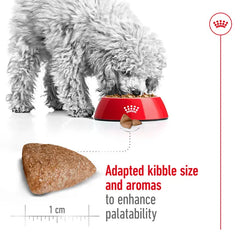 Alimento para perro Royal Canin Mini Indoor Adult 1.5kg