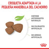 Alimento para perro Royal Canin Mini Puppy 2kg