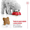 Alimento para perro Royal Canin Mini Adult 2kg