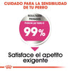 Alimento para perro Royal Canin Mini Exigent 3kg