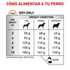 Alimento para perro Royal Canin Urinary Small Dog 4kg
