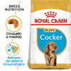 Alimento para perro Royal Canin Cocker Puppy 3kg