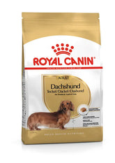 Alimento para perro Royal Canin Dachshund Adult 1.5kg