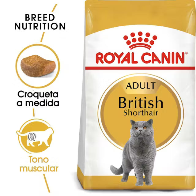 Alimento para gato Royal Canin British Shorthair 2kg