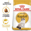 Alimento para gato Royal Canin Ragdoll Adult 2kg
