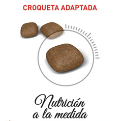 Alimento para Gato Royal Canin Urinary Care 2 kg