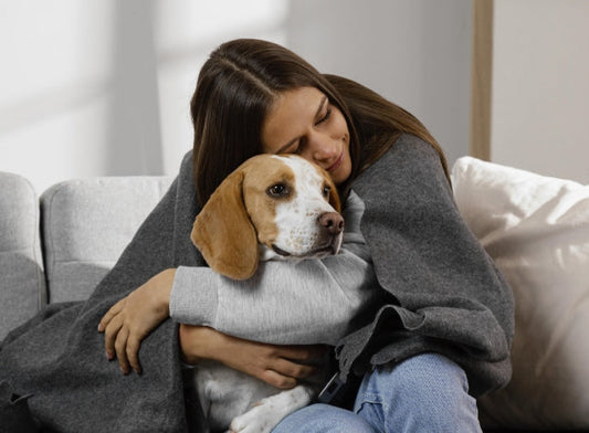 ¿Cada cuánto se debe desparasitar a los perros y gatos?