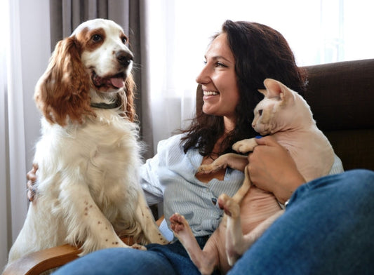 Los mejores snacks saludables para perros y gatos: top 5 recomendados por PupSpot