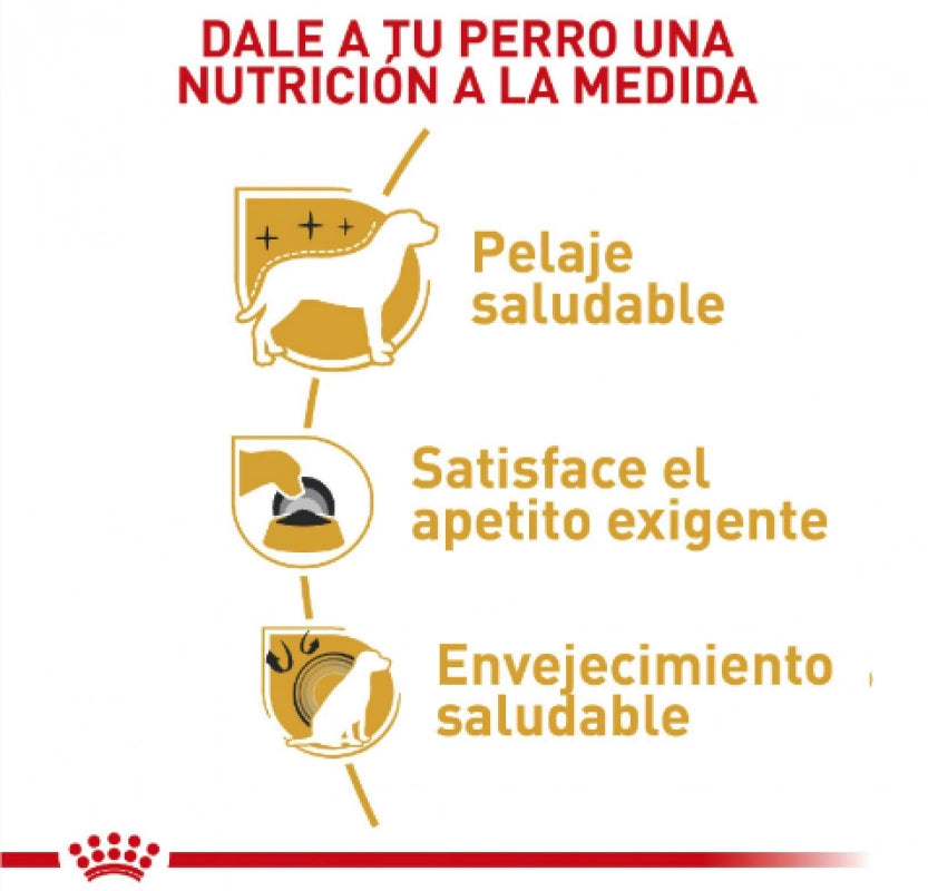 Alimento para Perro Royal canin yorkshire adulto 1.13KG
