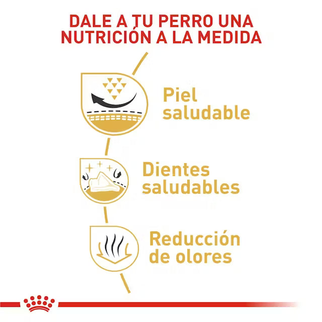 Alimento para perro Royal canin Shih tzu adulto 1.13kg