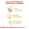 Alimento para perro Royal canin Shih tzu adulto 1.13kg