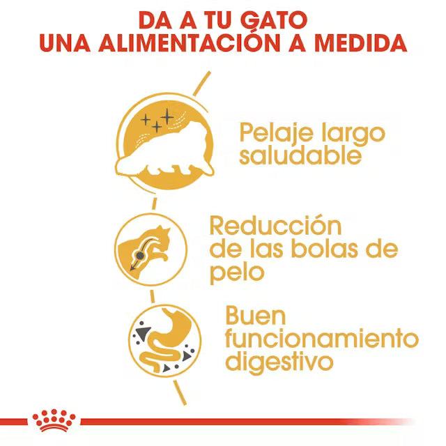 Alimento para gatos Royal canin persian adulto 2kg