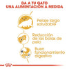 Alimento para gatos Royal canin persian adulto 2kg
