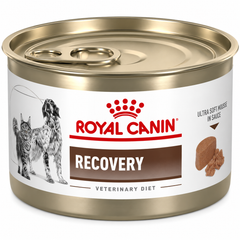 Alimento húmedo para perro y gato Royal Canin Recovery Lata 0.195 kg