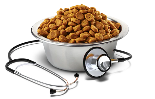 Alimento para perro Vet Life Urinary Ossalati 2 kg