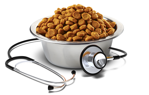 Alimento para perro Vet Life Renal Mini 2 kg