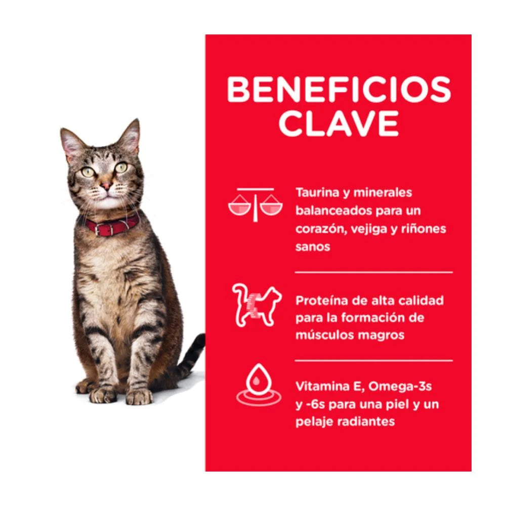 Alimento para gato adulto Equilíbrio Salmón 1.5 kg