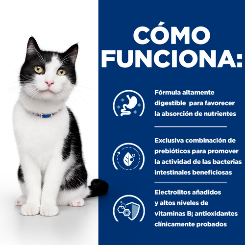 Alimento húmedo para gato Hill's Prescription Diet i/d Digestive Care con Pollo 5.5oz