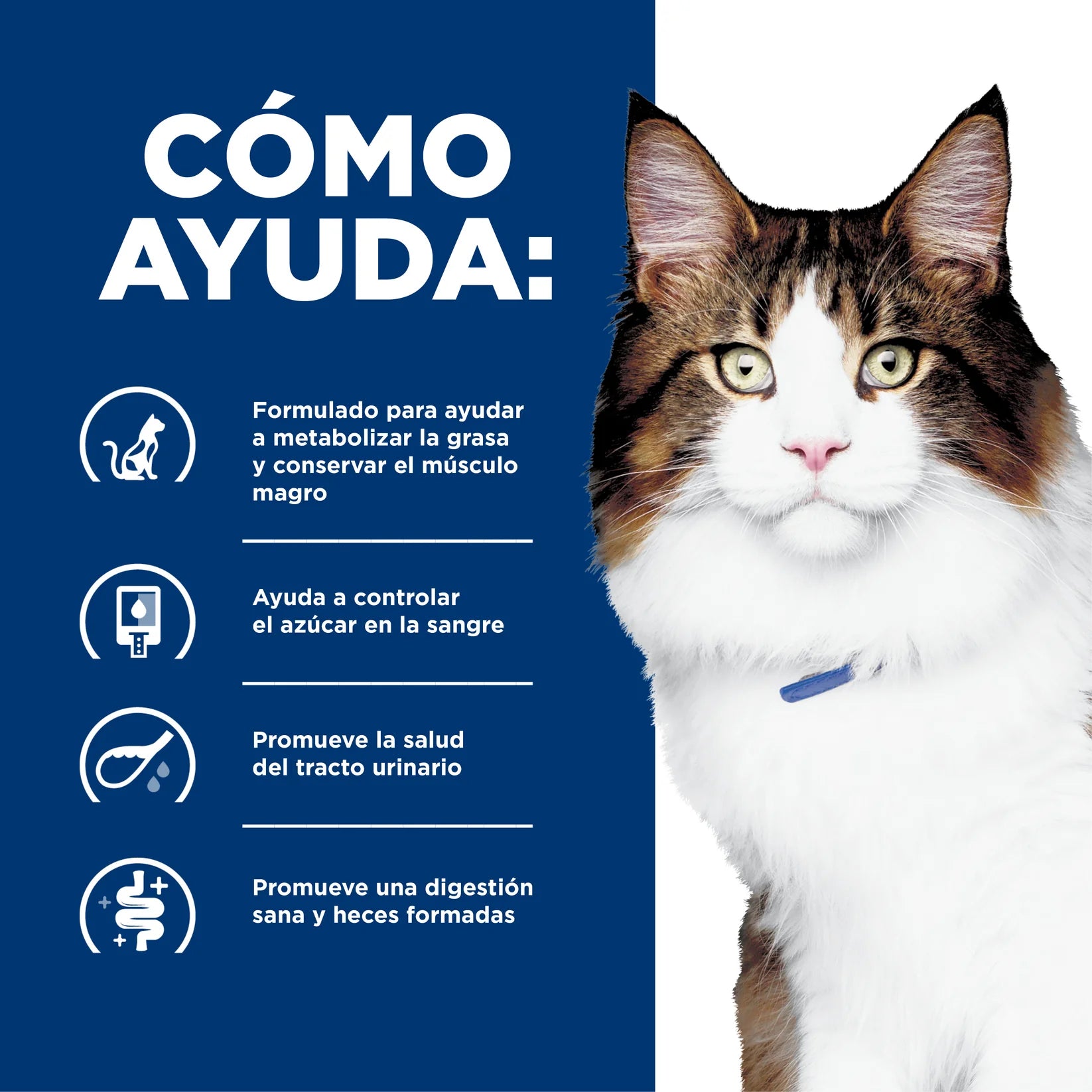 Alimento para gato Hill's Prescription Diet w/d Multi-Benefit 1.8kg