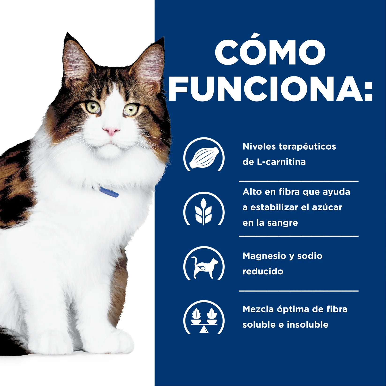 Alimento para gato Hill's Prescription Diet w/d Multi-Benefit 1.8kg