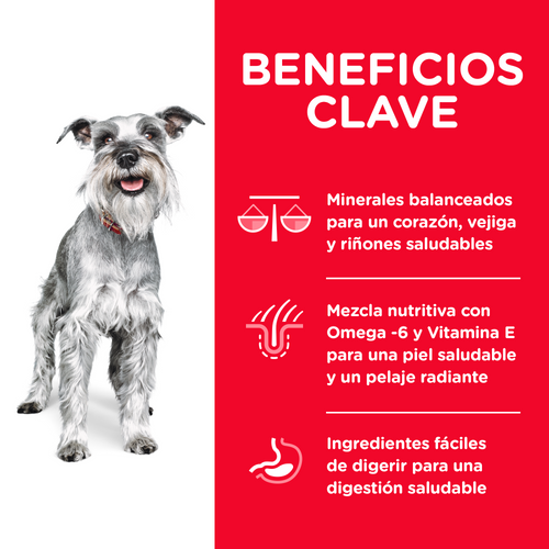 Alimento para perro Hill's Science Diet Small & Mini Adult 7+ 2kg