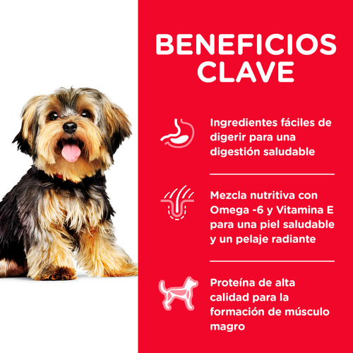 Alimento para perro Hill's Science Diet Small & Mini Adult 1-6 Pollo y Arroz 2kg