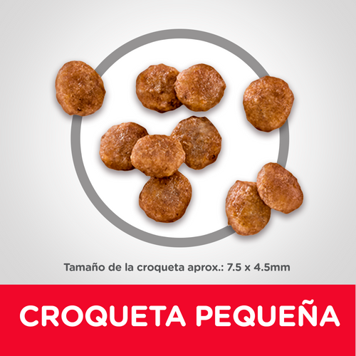 Alimento para perro Hill's Science Diet Small & Mini Adult 1-6 Pollo y Arroz 2kg