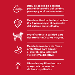 Alimento para perro Hill's Science Diet Small & Mini Puppy 2kg