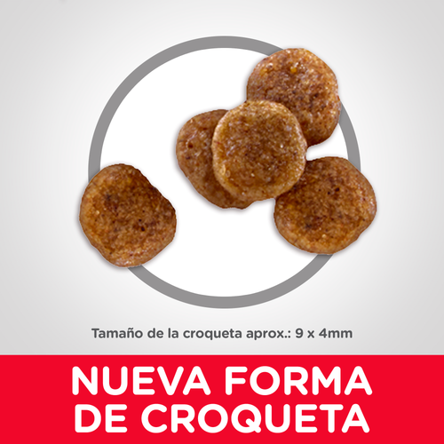 Alimento para perro Hill's Science Diet Adult 7+ Small Bites 2kg