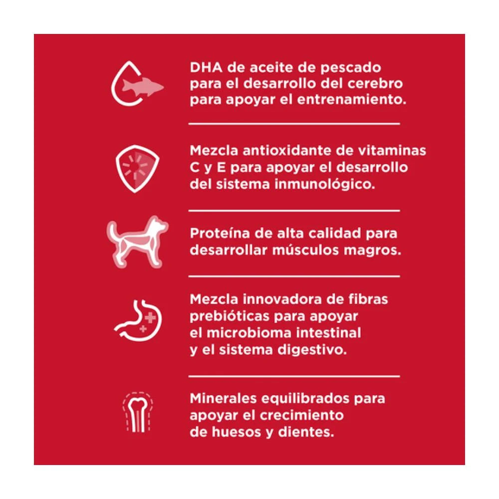 Alimento para perro Hill's Science Diet Puppy Small Bites 2kg