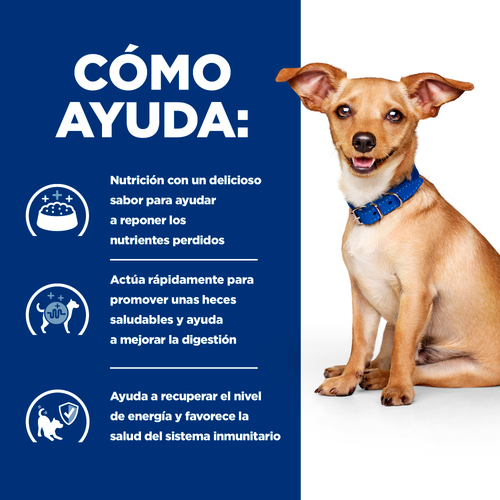 Alimento húmedo para perro Hill's Prescription Diet i/d Digestive Care Estofado de Pollo y Vegetales 5.5oz