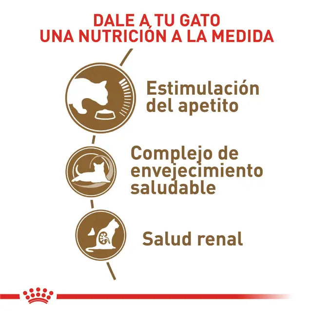 Alimento para gato Royal Canin Ageing 12+ 2kg