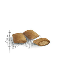Alimento para gato Royal Canin Ageing 12+ 2kg