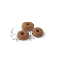 Alimento para gato adulto Royal Canin Fit 32