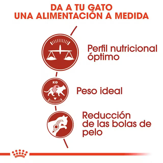 Alimento para gato adulto Royal Canin Fit 32